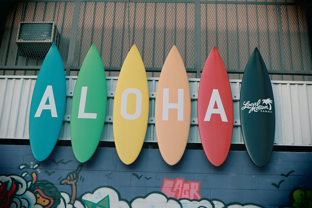 Hawaii Is Most Expensive of US States According to Monthly Household Expenditure