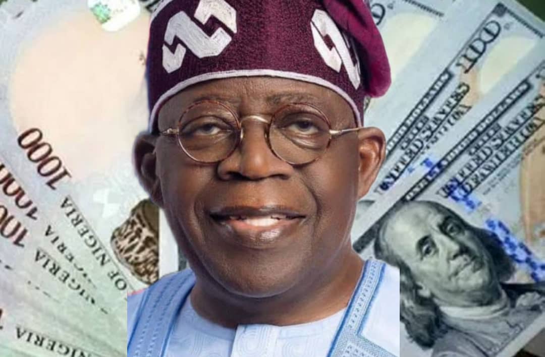 How Nigeria's Economy is Collapsing Under Tinubu, SEE Dollar Naira Exchange Rate Today